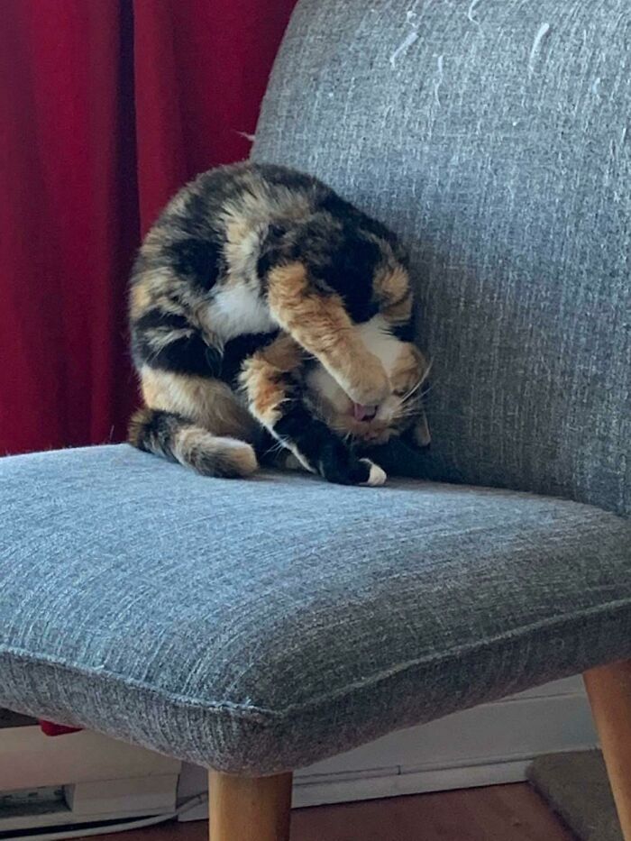 Loulou siempre tuvo una forma interesante de hacer las cosas…