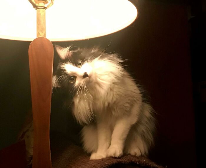 Ella está confundida