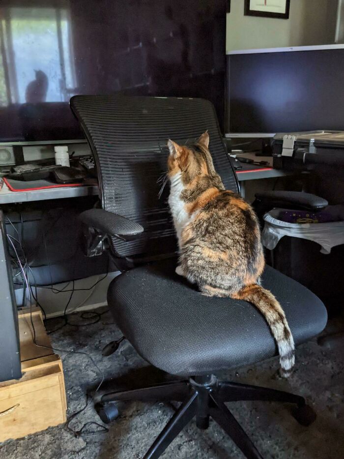 Just Sitting, Staring At The Back Of This Chair. Standard Thursday Activities