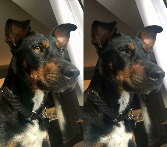 Sus Activity In The Neighborhood