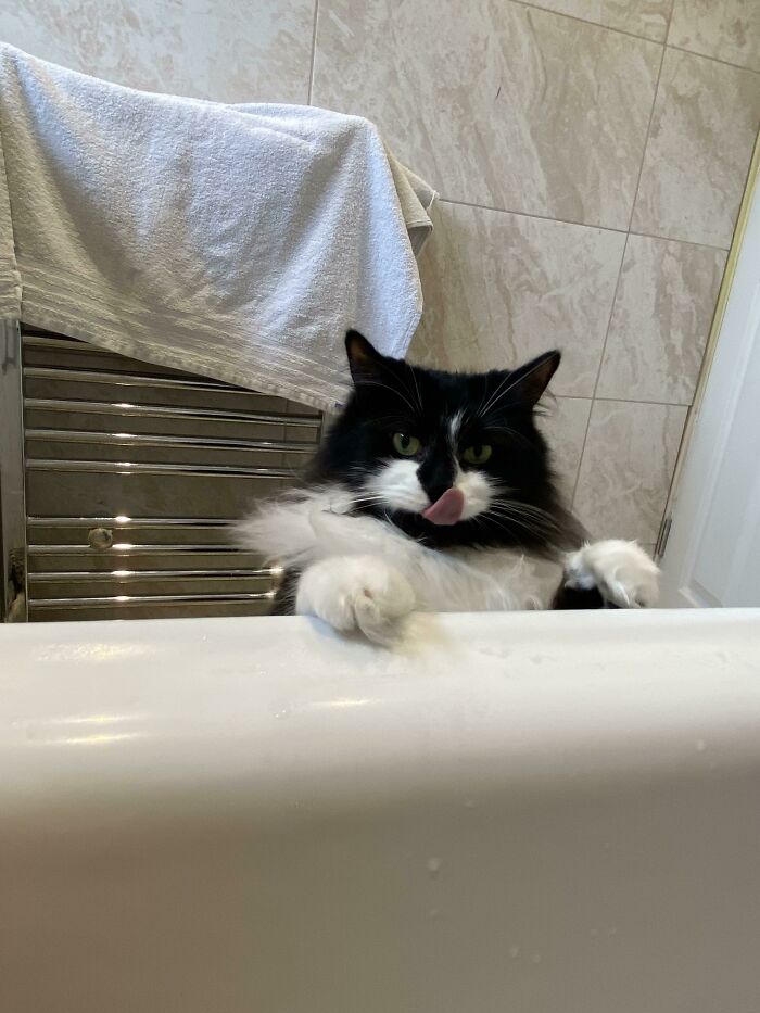 Why You Licking Your Lips Like That.. Get Out Ya Wee Pervert