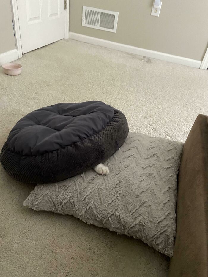 No sé qué decir sobre esto