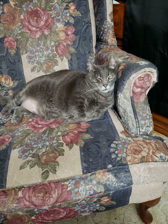 She Slept Like This For An Hour And Snored The Whole Time