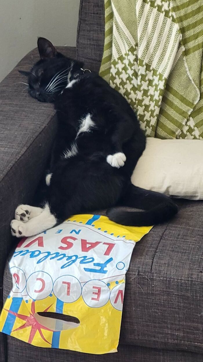 I Think He Belongs Here