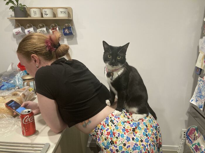 ¡Te montaré hacia la batalla!