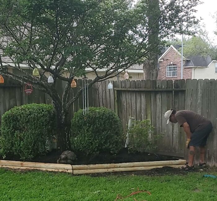 My Dad Didn't Graduate High School. Today I Taught Him How To Use A Protractor And Basic Geometry So He Could Rebuild My Mom's Flowerbed
