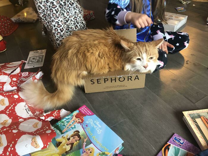 No cabía y, aun así, se sentó…