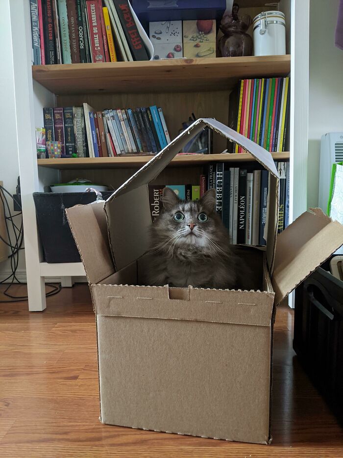 The Big Girl In Her Little Makeshift Home