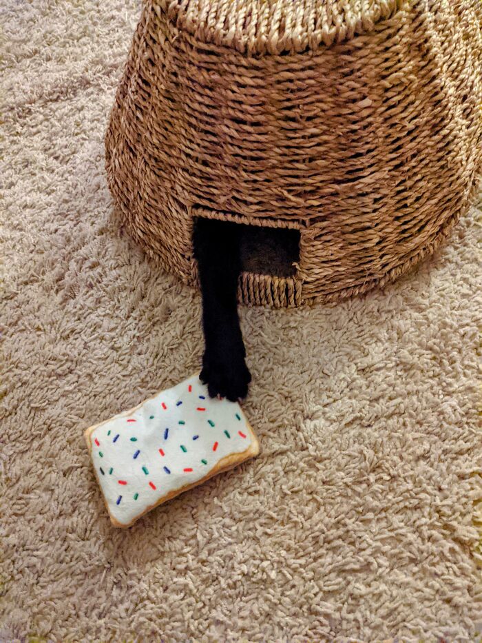 ¡Se olvidó de su galleta Poptart fuera de la trampa!