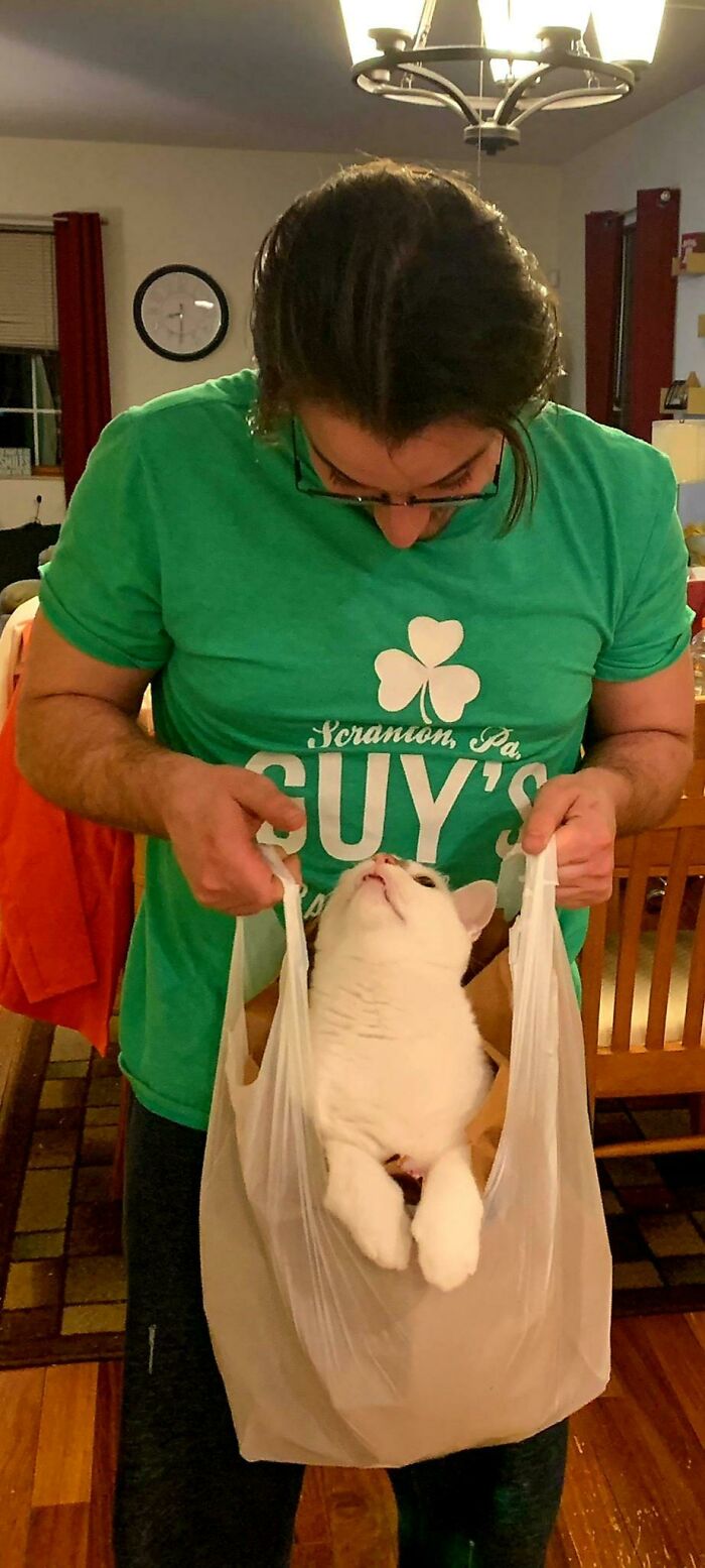 Por alguna razón, esta bolsa de compras en particular era más pesada que las demás