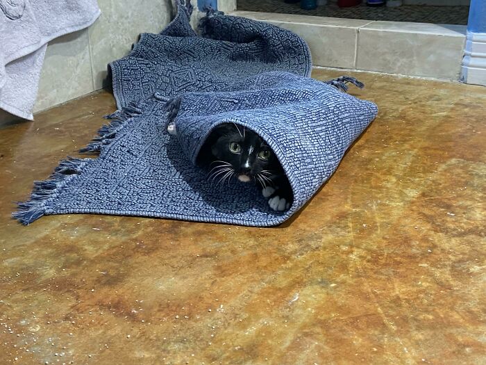 Do Self Made Mat Traps Count?