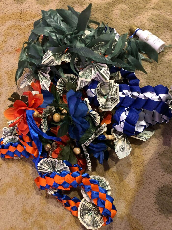 Neighbor Graduated And Moved Out