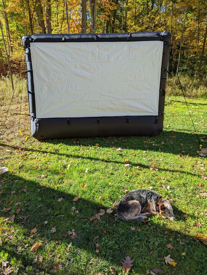 My Brother Found 3 Perfectly New Screens At Aldi