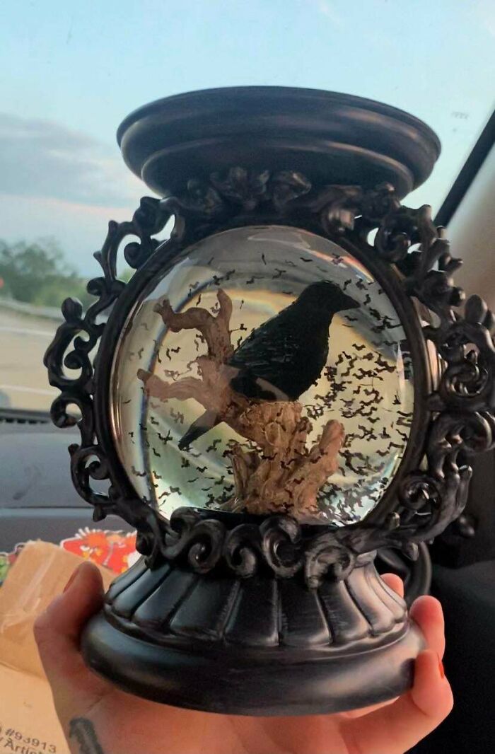 Scoreeee. First One Of The Season