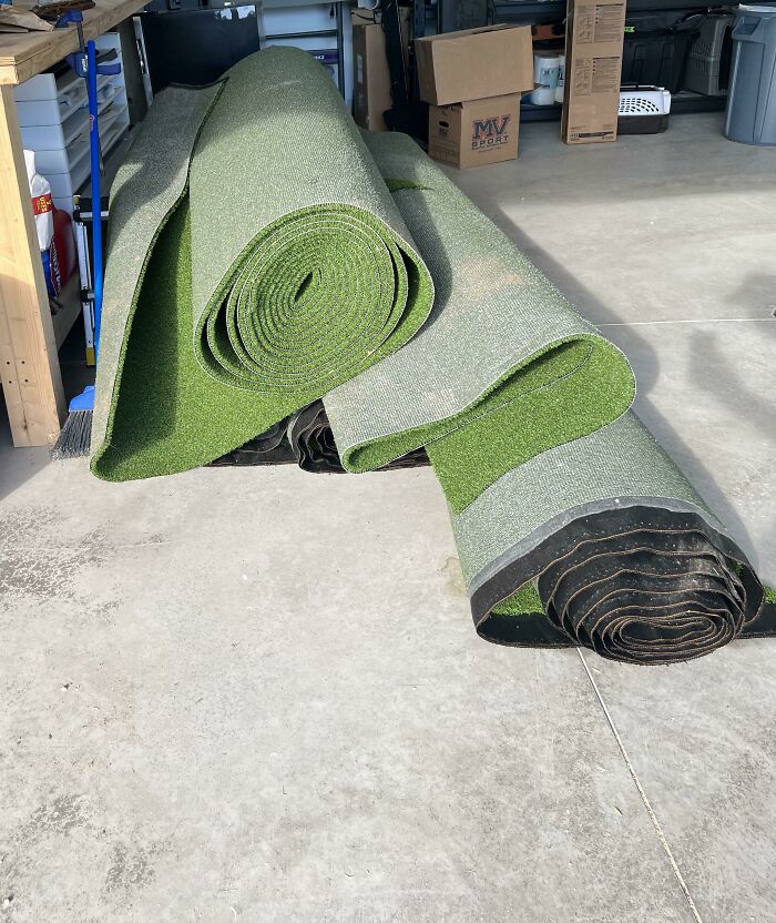 New Mini Golf Course Threw Out Extra Grass So I Snagged It