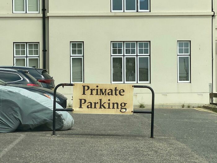 Mild Bit Of Monkey Business In Ramsgate, UK, Spotted By My Brother