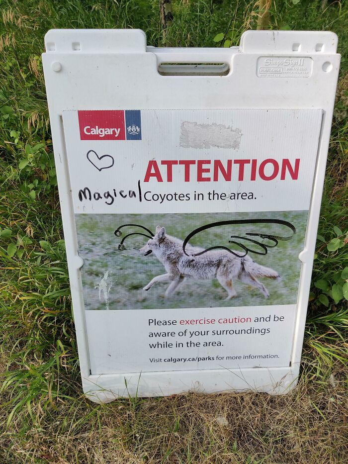 Now I Want To See One