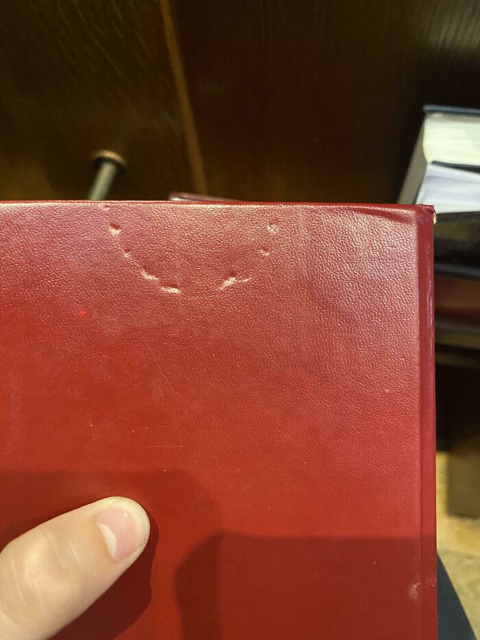 This Hymn Book In Chapel