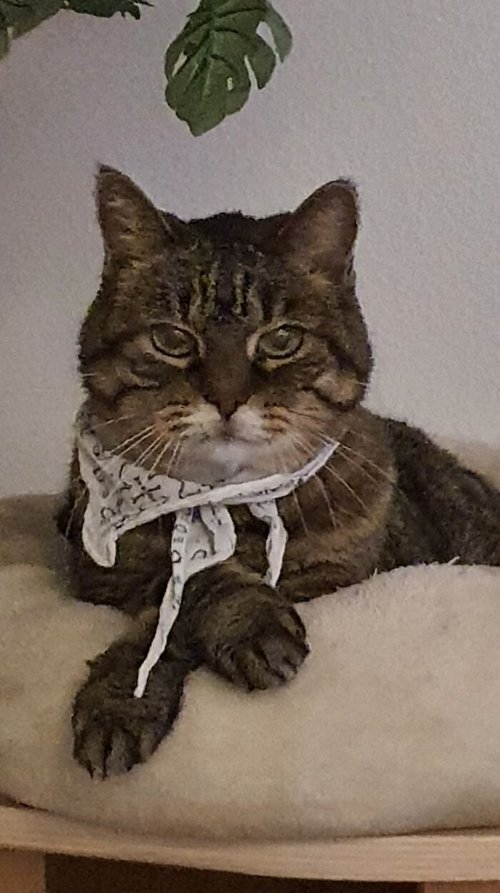 Dear Sir Or Madam, My Name Is Tigrotto And I Have 20 Years Of Working Experience In The Regenerational Business