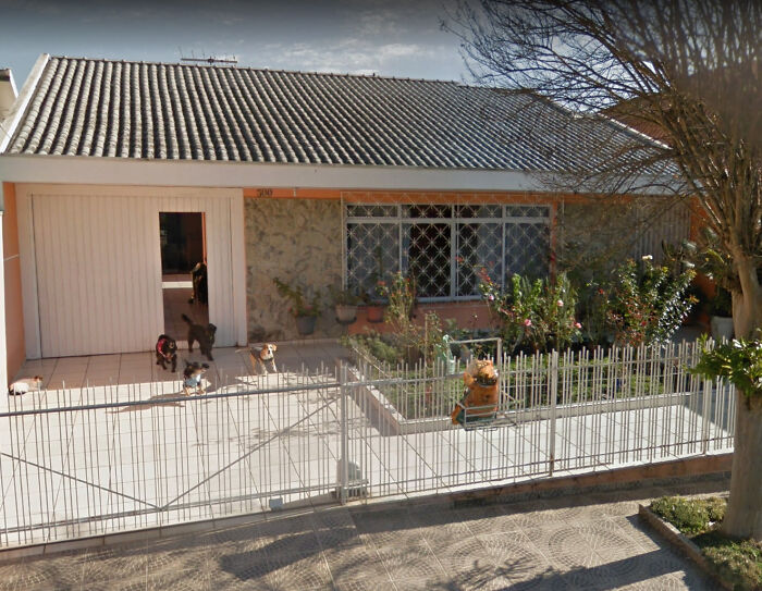 The Whole Gang Checking Out Google's Car