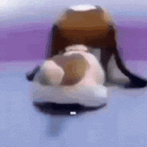 arnauforcadavelasco avatar