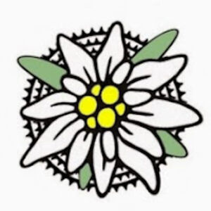 roxanacaravia avatar