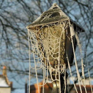 seanrobinson_2 avatar