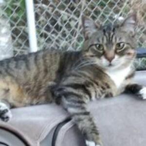 georgina_jones avatar