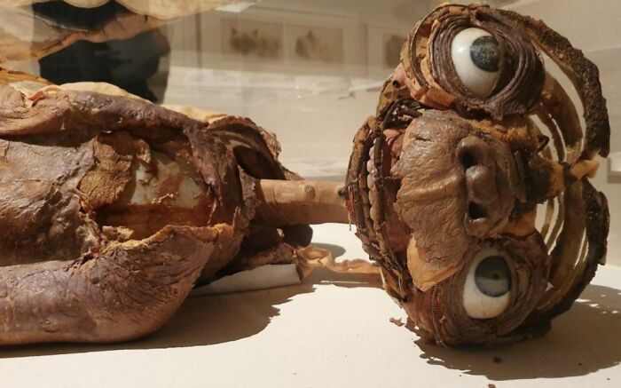 The Remains Of One Of The Animatronic E.t. Puppets