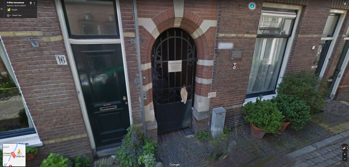 Silly Kitty, Doors Are For People