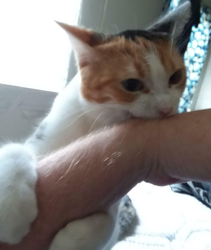 What Happens If I'm Late Feeding Her