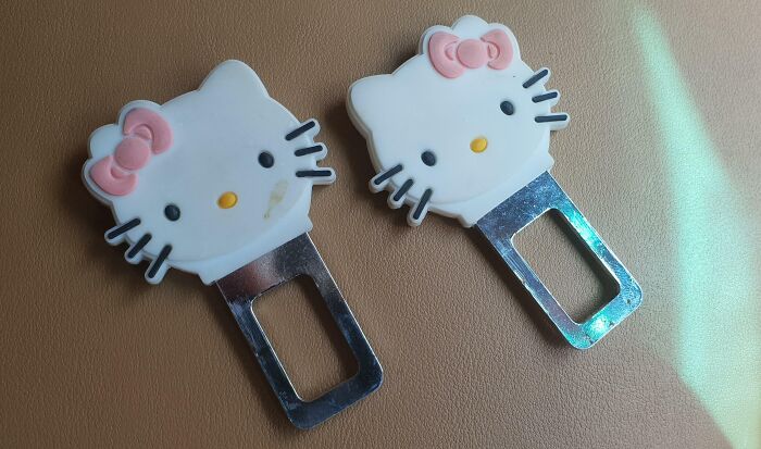 These Things In My Father-In-Law's Car Are So He And His Partner Can Drive Without Seatbelts And The Car Won't Make The Alarm Sounds