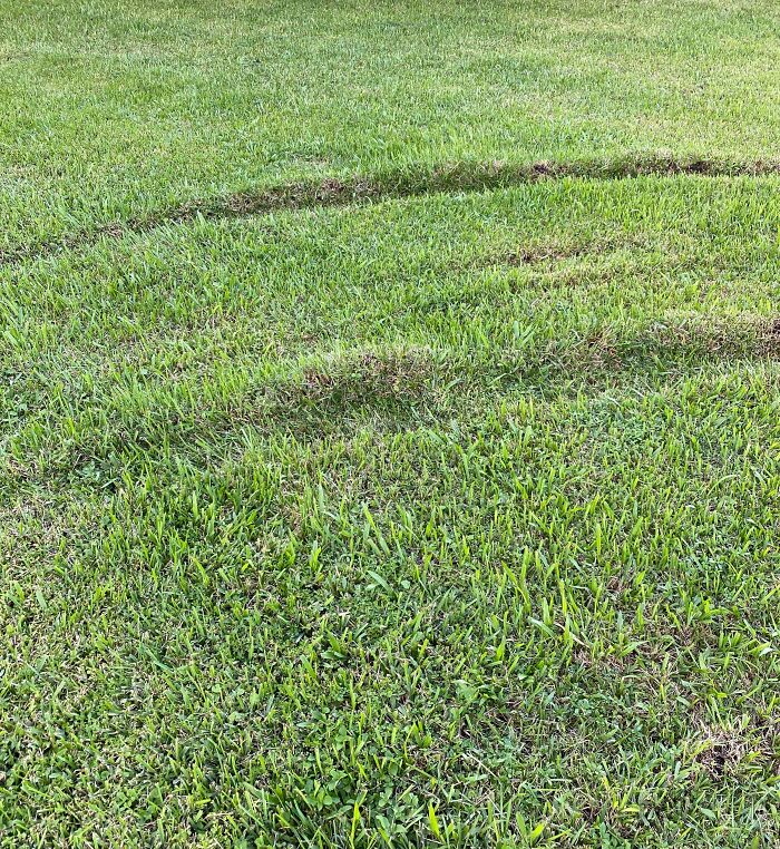 Father-In-Law Drives Through Front Lawn To Avoid Backing Up