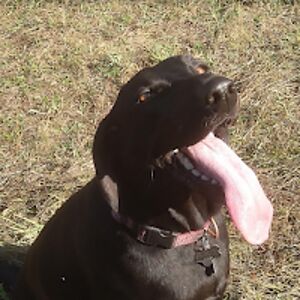 abigailjohnson_4 avatar