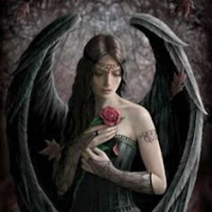 alexismarcusen avatar