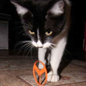 claudiagranger avatar