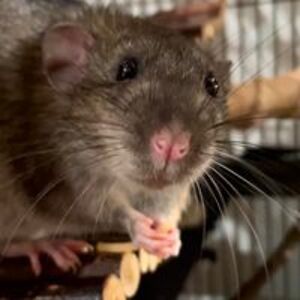 suzanneoakley33 avatar