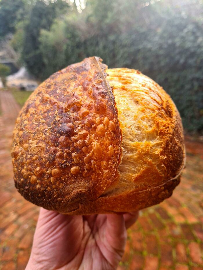 Flour, Water, Salt. Today's Loaf Really Did Things To Me