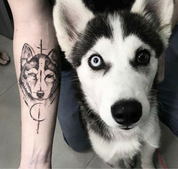 Husky dog next to a tattoo design of its face on a person's arm, showcasing creative tattoo designs.