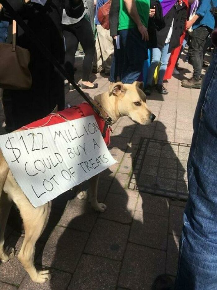Favourite Sign From The Canberra Marriage Equality Rally