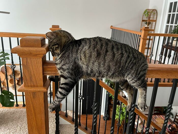 I Think This Qualifies, He’s Napping