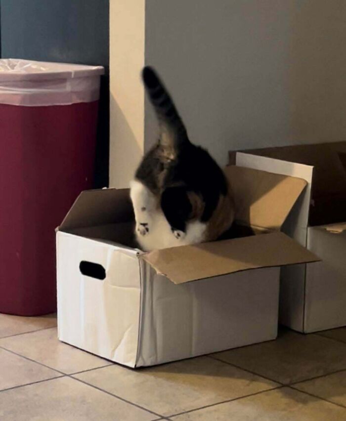 Estas cajas estuvieron en el suelo durante solo 5 minutos