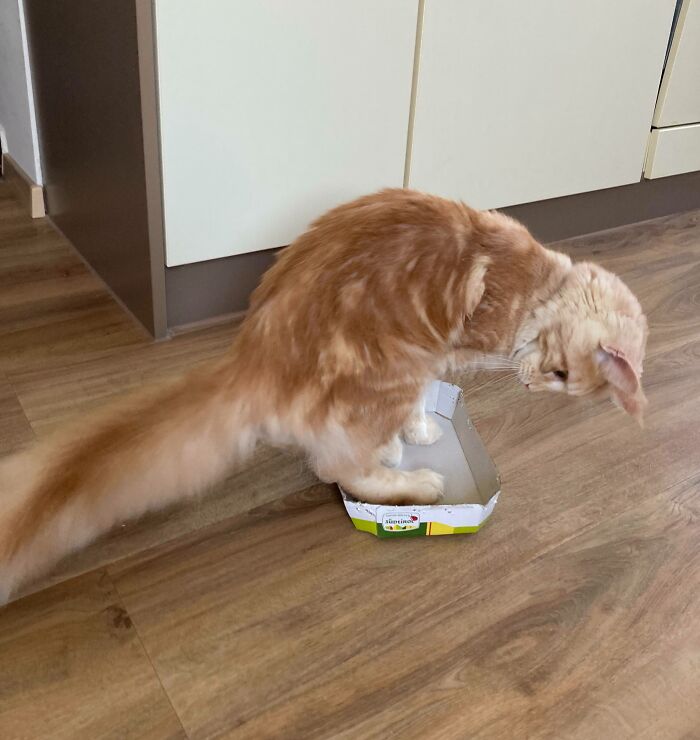  Incluso si era imposible, tuvo que intentarlo