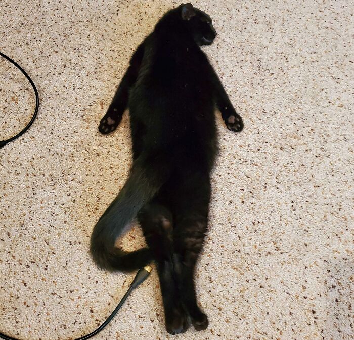 He Has The Weirdest Sleeping Positions