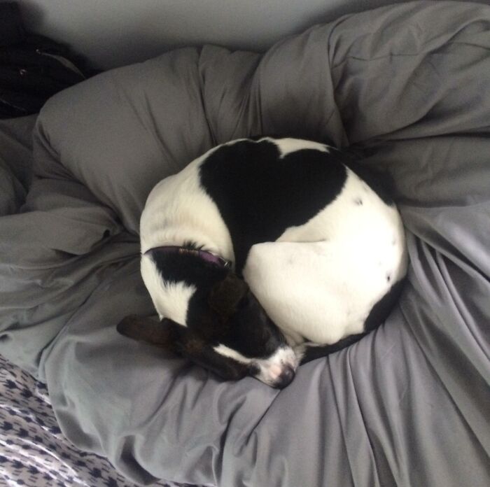 When She Sleeps Like This Her Spots Form A Heart