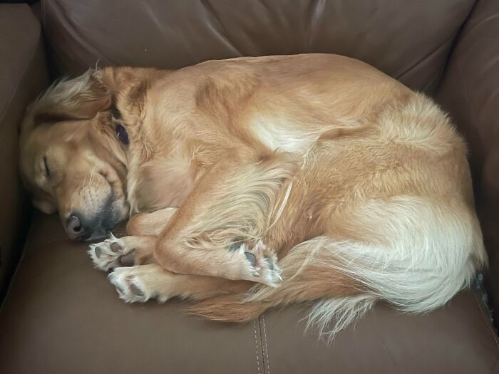 Sleeping With A Smile On Her Face. My Baby Mahi