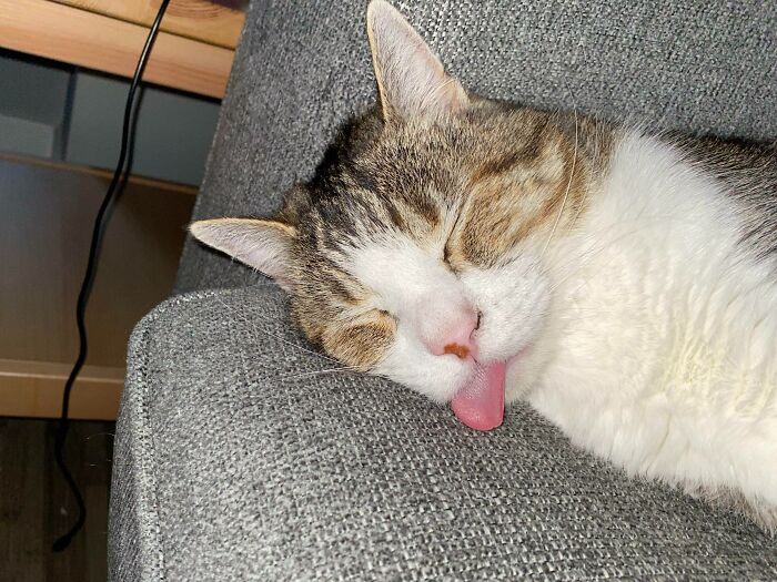 He Sleeps Like This 90% Of The Time