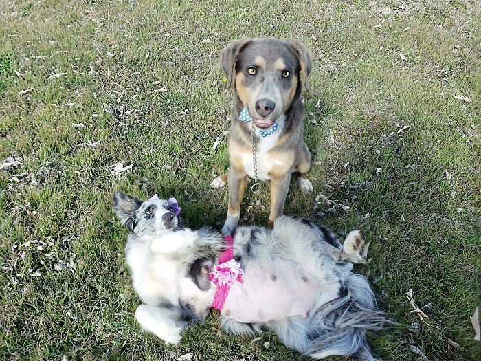 Had A Pregnancy Photoshoot Today