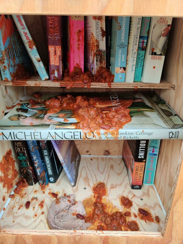 Neighbour Built A Community Library. Last Night Someone Dumped Chili And Cat Food Inside