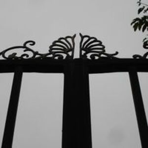 amanda_m_drake_7 avatar